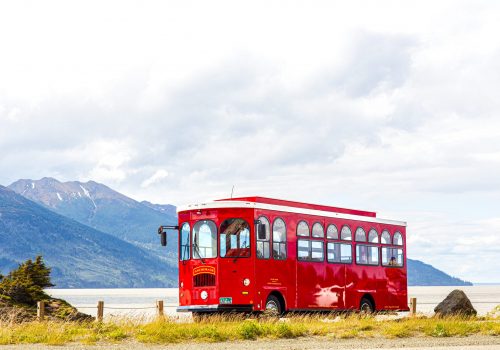 Trolley @ turnagain arm 8